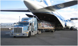 Trucking Services - Air Freight